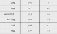 证券总资产(开源证券总资产)