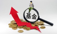 公募证券投资基金(公募证券投资基金的特点,以下表述正确的是)