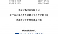 证券公开发行(非公开发行股票是好事还是坏事)