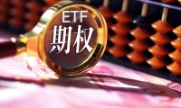 证券期权(证券期权持有者的最大损失为)