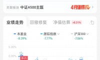 换证券(换证券公司)