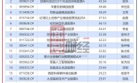 证券组合费(证券组合费收取标准)