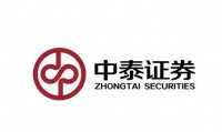 中券证券(中券证券是干嘛的)