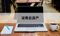 证券总资产(上海证券总资产)