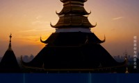 华泰证券官(华泰证券官网首页登录)