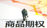 证券期权(证券期权交易)