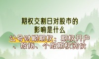 证券期权(证券期权开户条件)