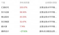 证券公司年报(证券公司年报在哪里披露)