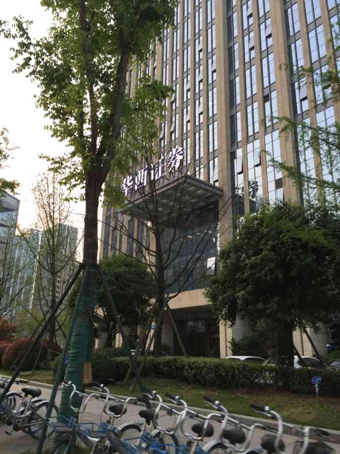 华西证券软件下载(华西证证券app是哪个)