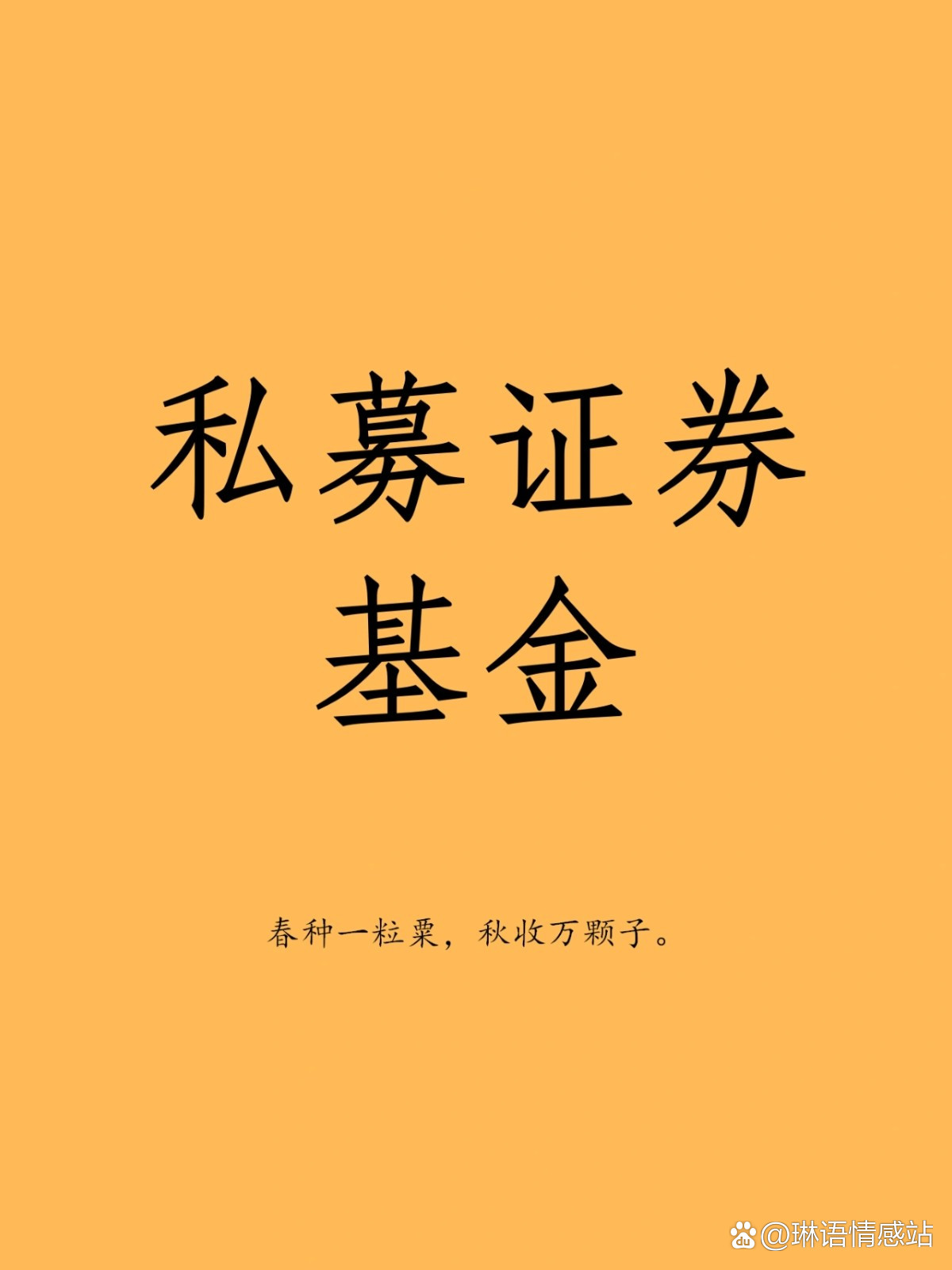 公募证券(公募证券是什么)