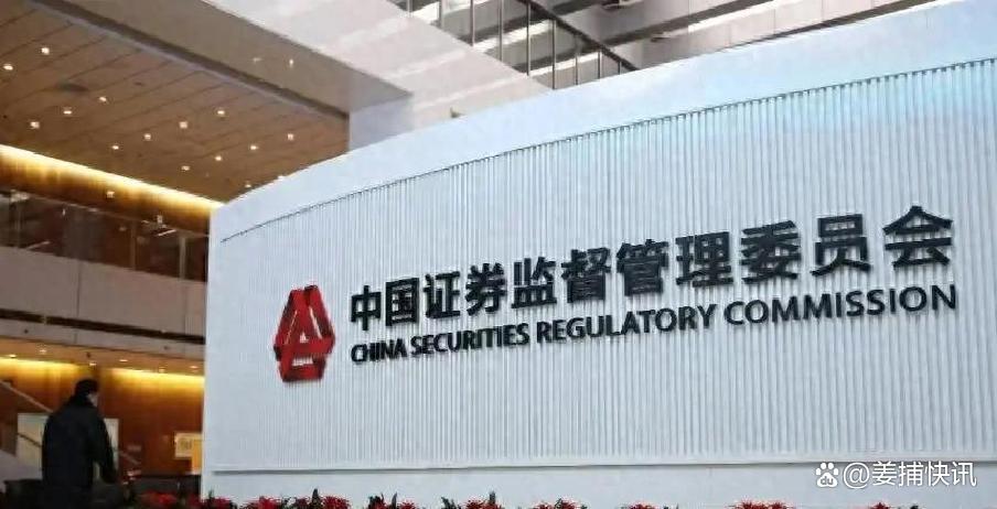 公募证券投资基金(公募证券投资基金是什么意思)