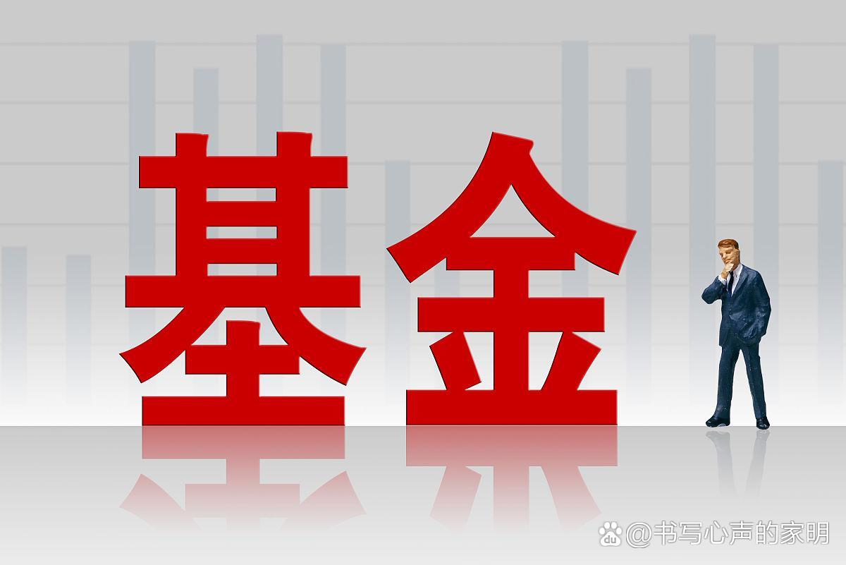 公募证券(公募证券和私募证券的区别)